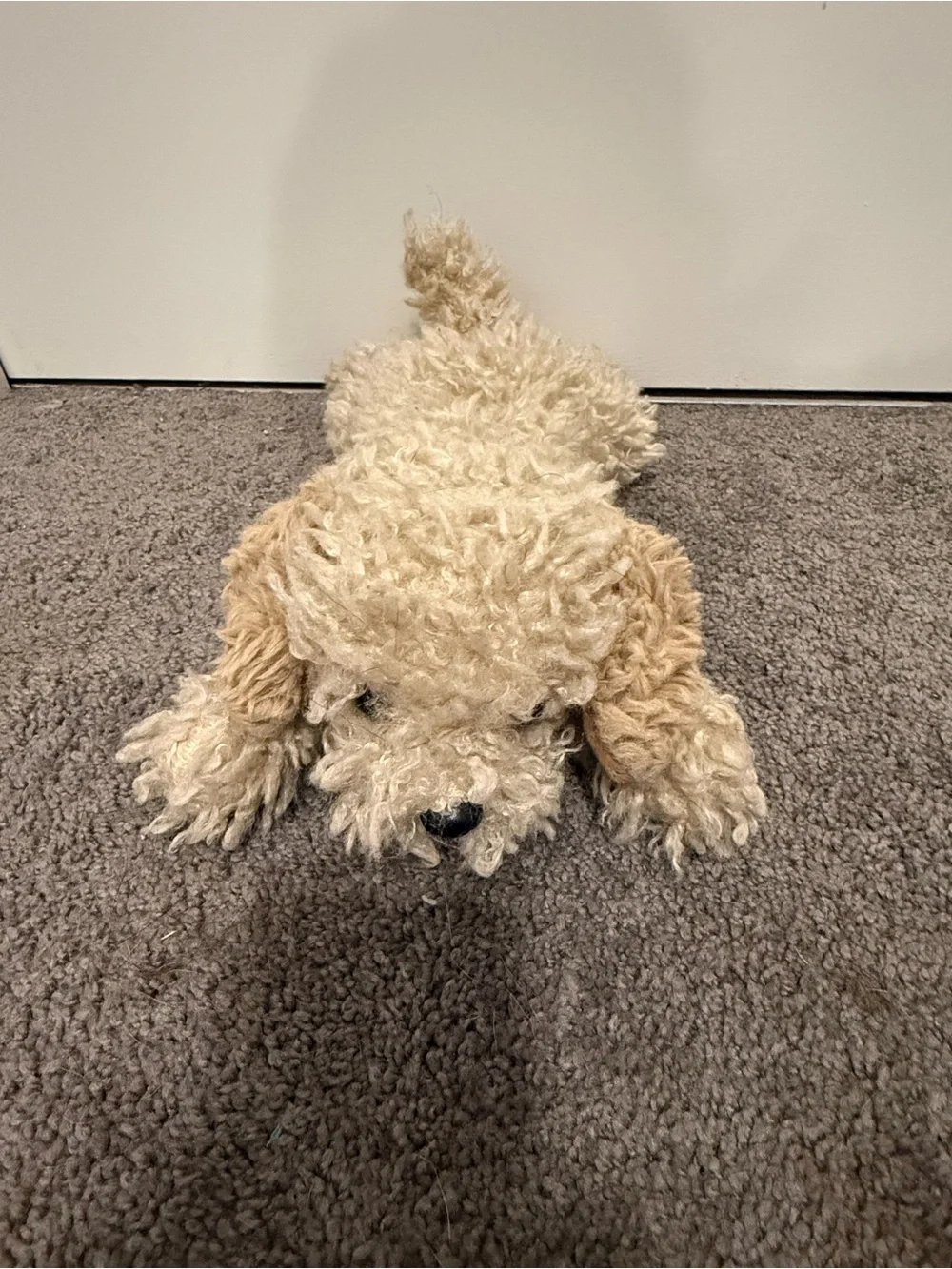 FAO Schwarz doodle puppy bichon dog shaggy fur realistic plush floppy stuffed